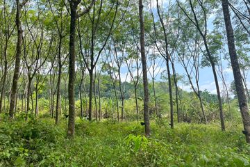 Land for sale in Thai Mueang, Phang Nga