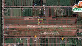 Land for sale in Bueng Ba, Pathum Thani