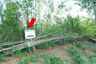 Land for sale in Khok Sung, Chaiyaphum
