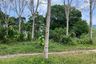 Land for sale in Thep Krasatti, Phuket