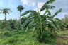 Land for sale in Thep Krasatti, Phuket