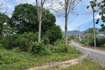 Land for sale in Thep Krasatti, Phuket