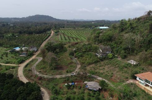 Land for sale in Song Phi Nong, Chanthaburi