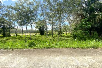 Land for sale in Thep Krasatti, Phuket