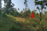Land for sale in Na Fai, Chaiyaphum