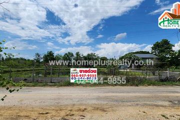 Land for sale in Makhun Wan, Chiang Mai