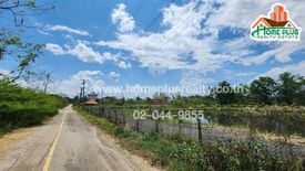 Land for sale in Makhun Wan, Chiang Mai