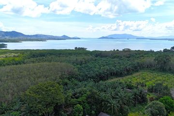 Land for sale in Tha Yu, Phang Nga