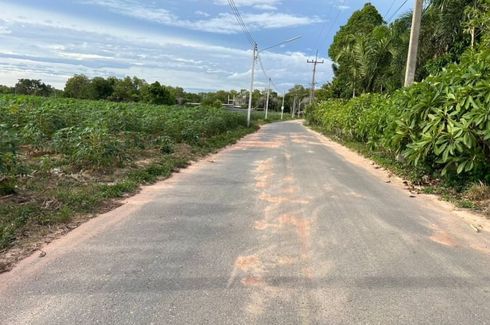 Land for sale in Nong Prue, Chonburi