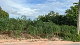 Land for sale in Nong Prue, Chonburi