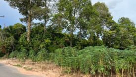 Land for sale in Nong Prue, Chonburi