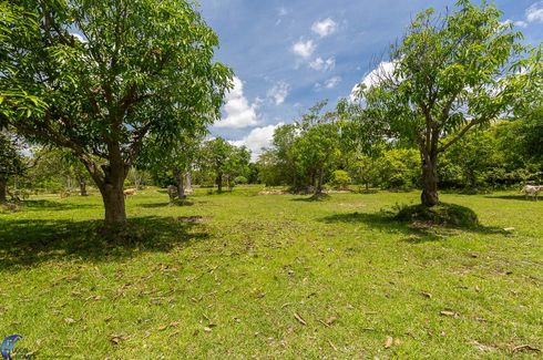 Land for sale in Rai Noi, Ubon Ratchathani