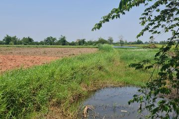 Land for Sale or Rent in Mae Kon, Chiang Rai