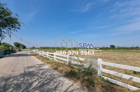 Land for sale in Laem Phak Bia, Phetchaburi