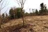 Land for sale in Sang Paen, Udon Thani