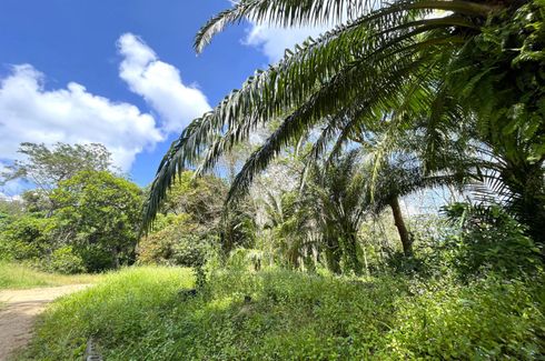 Land for sale in Lo Yung, Phang Nga