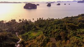 Land for sale in Khao Thong, Krabi