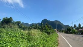 Land for sale in Khao Thong, Krabi