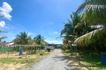 Land for sale in Thep Krasatti, Phuket