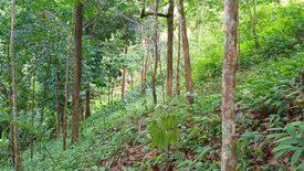 Land for sale in Tha Yu, Phang Nga