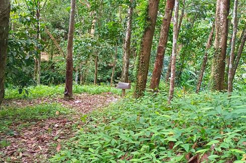 Land for sale in Tha Yu, Phang Nga