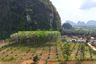 Land for sale in Nong Thale, Krabi
