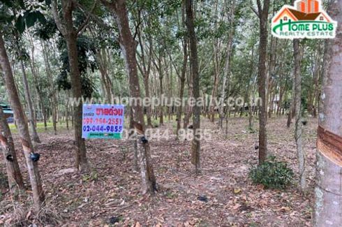 Land for sale in Na Ta Khwan, Rayong