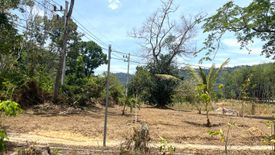 Land for sale in Khok Kloi, Phang Nga