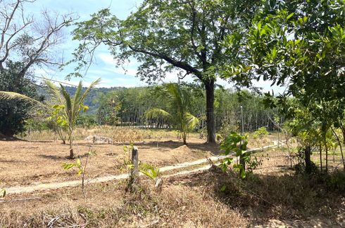 Land for sale in Khok Kloi, Phang Nga