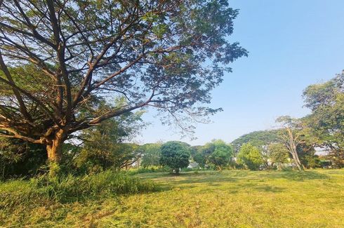 Land for sale in Wat Ket, Chiang Mai