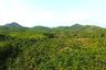 Land for sale in Tha Yu, Phang Nga
