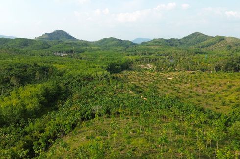 Land for sale in Tha Yu, Phang Nga