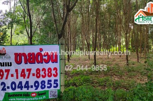 Land for sale in Khok Khwai, Uthai Thani