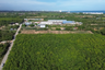 Land for sale in Ban Chang, Rayong