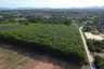Land for sale in Ban Chang, Rayong