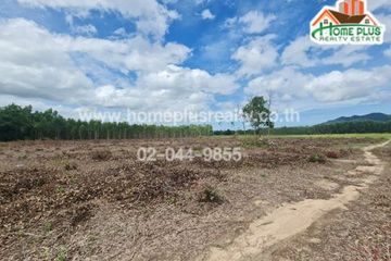 Land for sale in Khao Yai, Phetchaburi