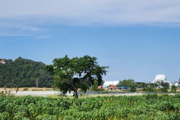 Land for sale in Nong Prue, Chonburi