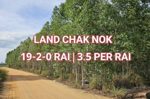 Land for sale in Nong Prue, Chonburi