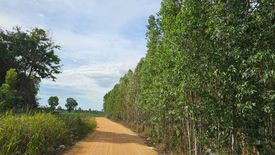 Land for sale in Nong Prue, Chonburi