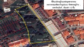 Land for sale in Sung Noen, Nakhon Ratchasima