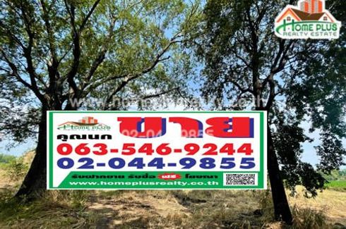 Land for sale in Wang Chomphu, Phetchabun