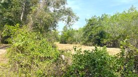 Land for sale in Na Toei, Phang Nga