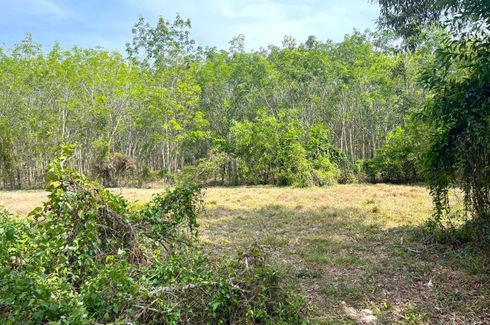 Land for sale in Na Toei, Phang Nga