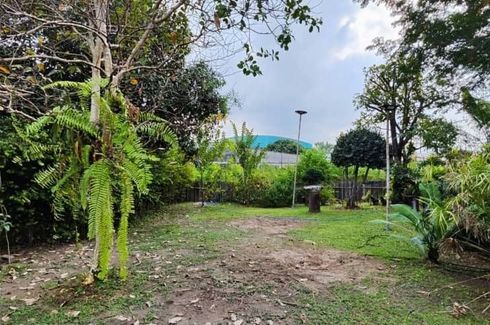 Land for sale in Huai Kapi, Chonburi