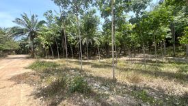 Land for sale in Ao Nang, Krabi