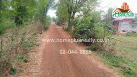 Land for sale in Na Kaeo, Sakon Nakhon