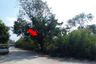 Land for sale in Ban Pa, Saraburi