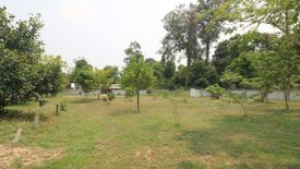 Land for sale in Ban Chan, Udon Thani