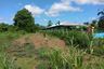 Land for sale in Ban Tok, Phetchabun