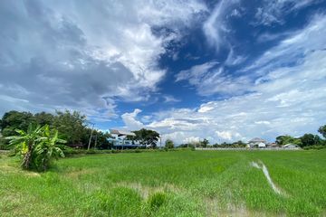 Land for sale in Buak Khang, Chiang Mai